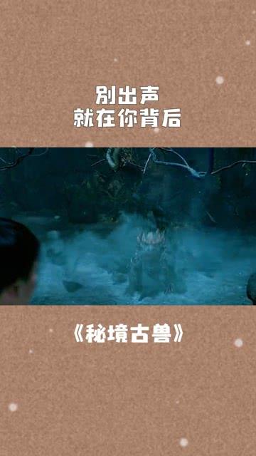1分03秒 31条生命从生到死的距离