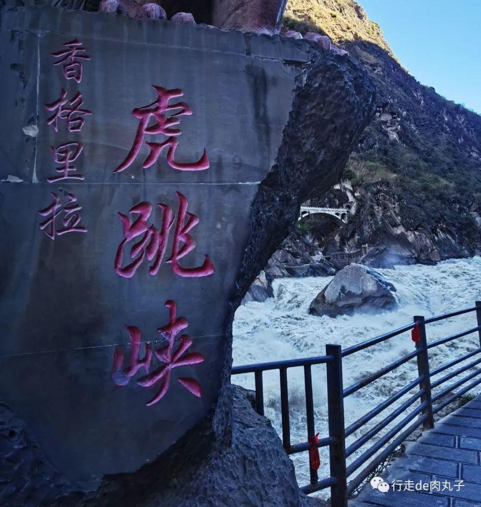 有趣的动物拼图