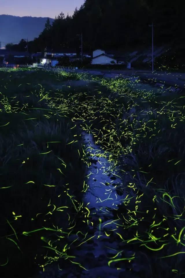 海盗的荣誉