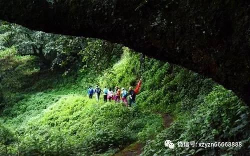 免费在线匿名聊天入口