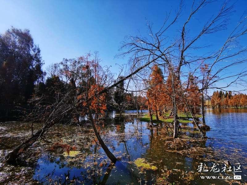 声东击西是什么意思