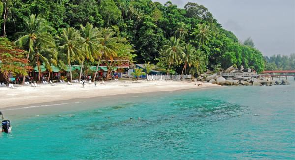魏总 郑恺：充满喜剧色彩的显眼包式人物，海宁文化旅游推广大使