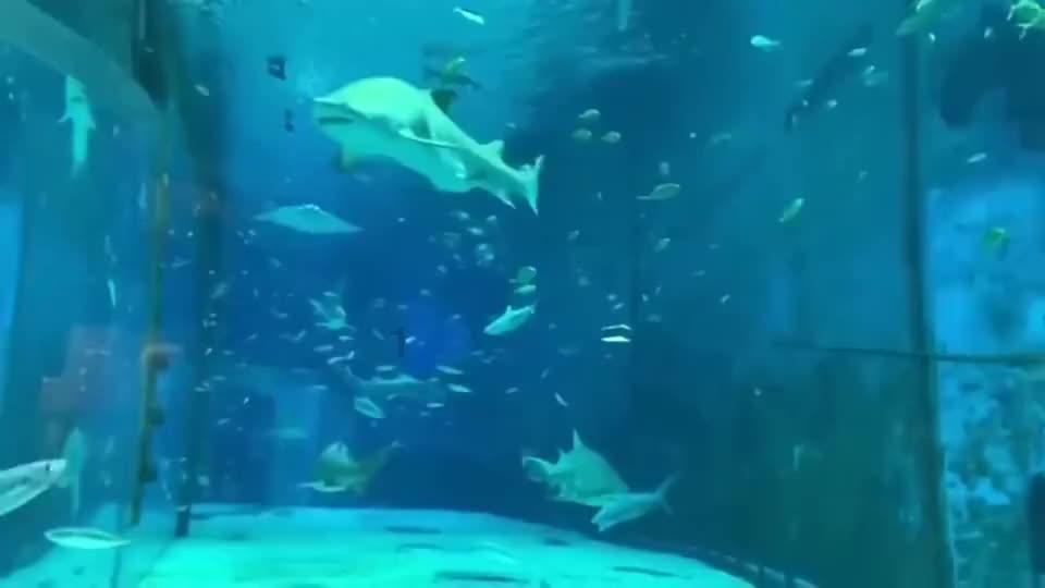 皇室宫殿
