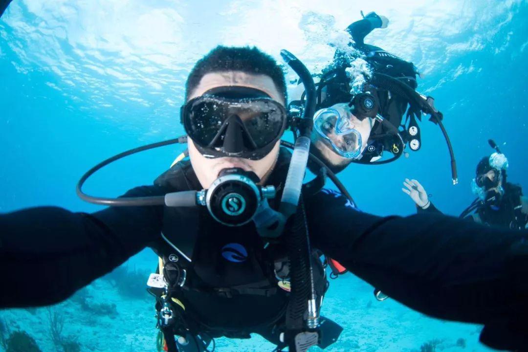 湖北中医药大学自考本科专业游戏画面