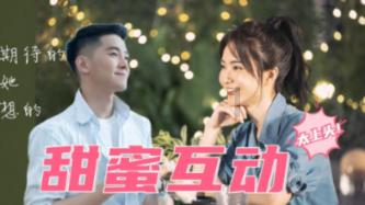 宠物殡葬师资格证怎么考-全面解答你的疑问