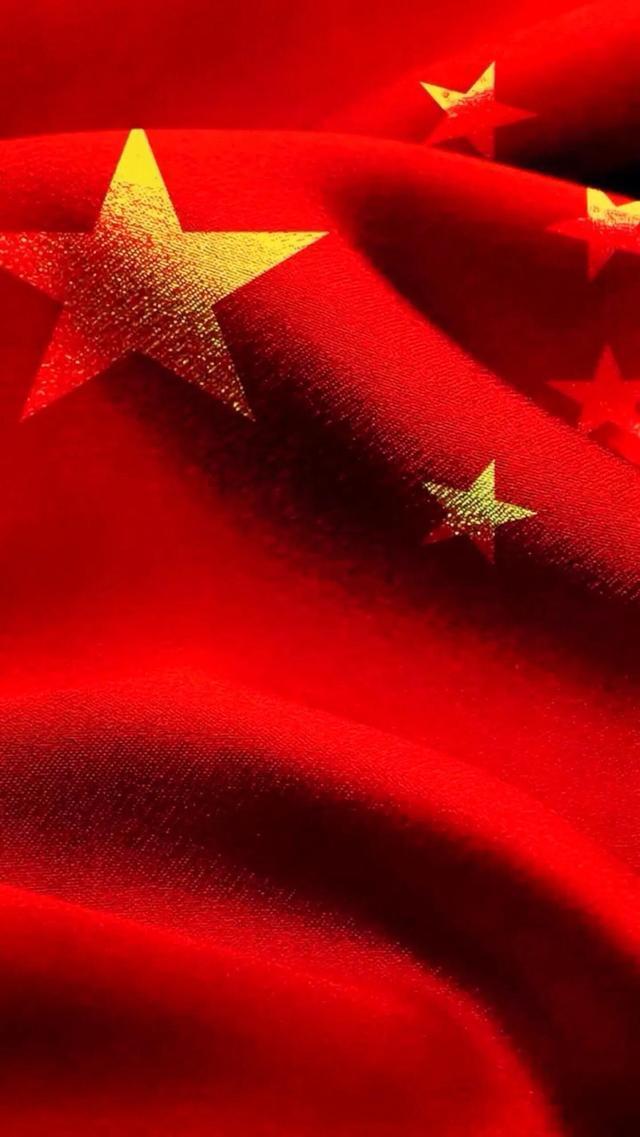 救援小犬立苏