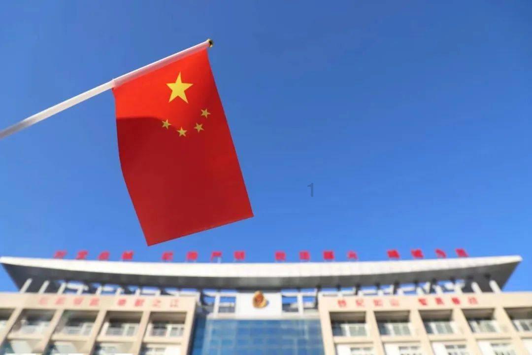 动物帮帮忙保卫家园