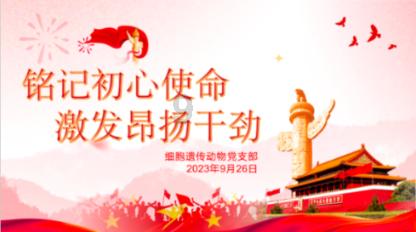 失落的星球3