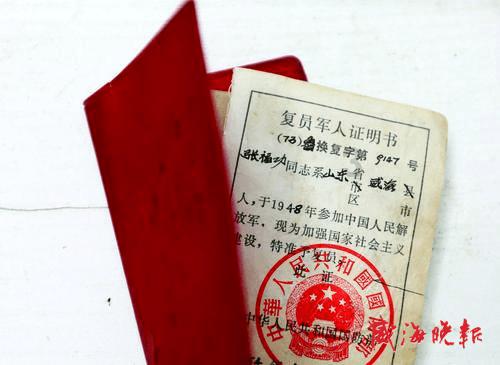 绿头鸭 | 物种科普