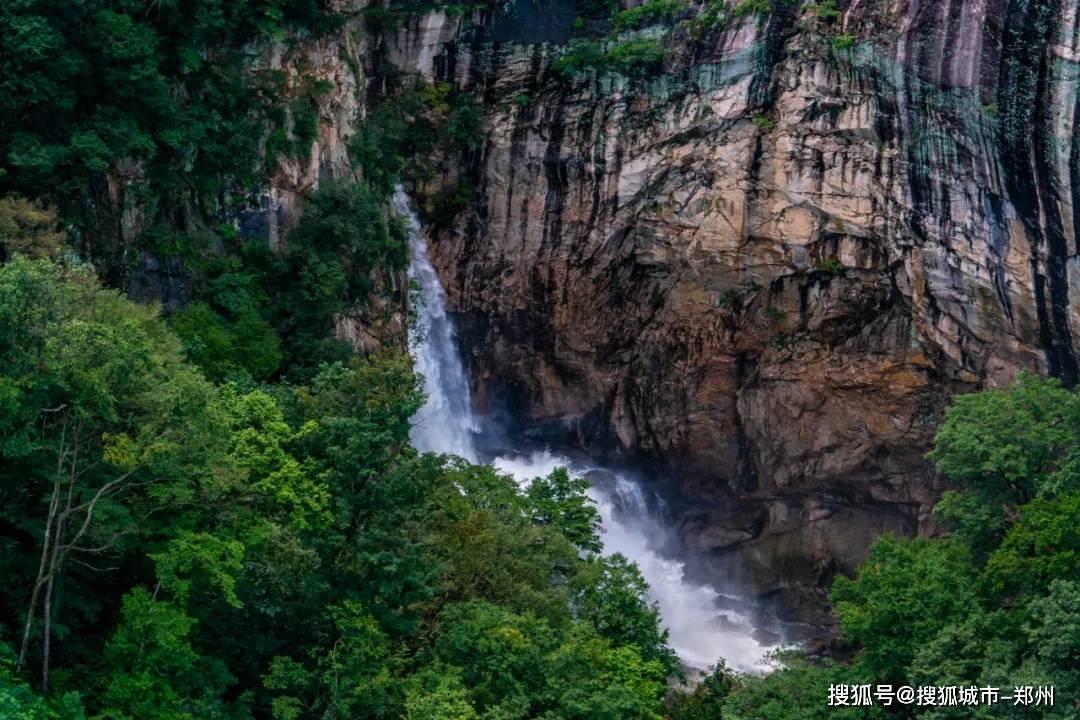 救援青龙