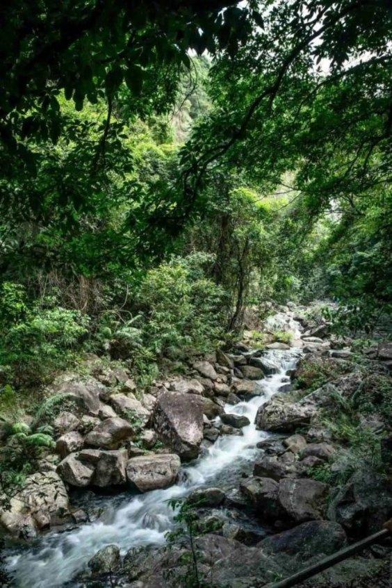 网络评论新秀挑战赛丨在变局中不惑、不忧、不惧!