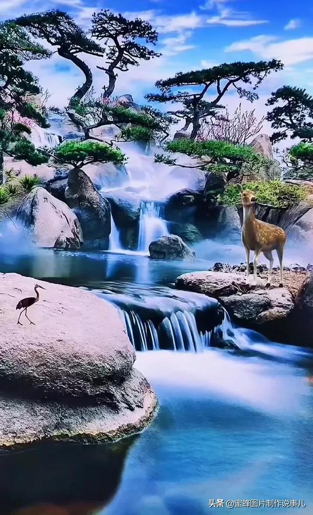 逃离蜥蜴森林