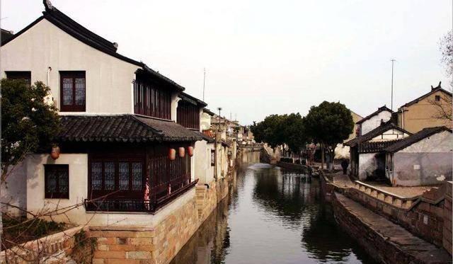 除虫大师
