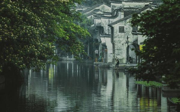逗小猴开心系列211