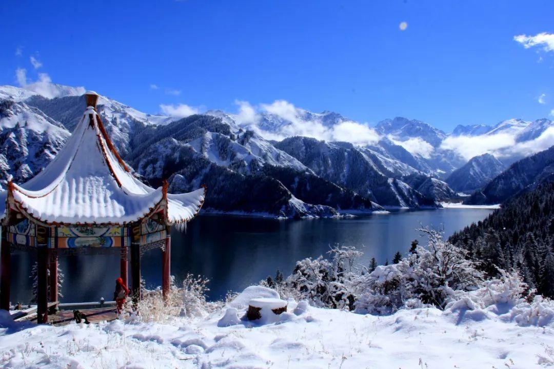 两会之声|加快形成新质生产力,上海的产业应该如何布局?